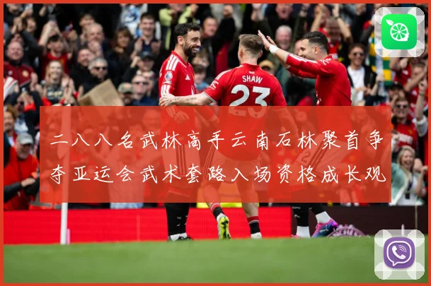 二八八名武林高手云南石林聚首争夺亚运会武术套路入场资格成长观察：最新赛事动态与深度分析