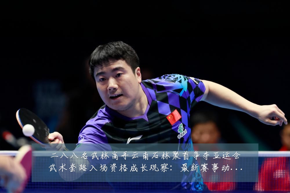 二八八名武林高手云南石林聚首争夺亚运会武术套路入场资格成长观察:最新赛事动态与深度分析